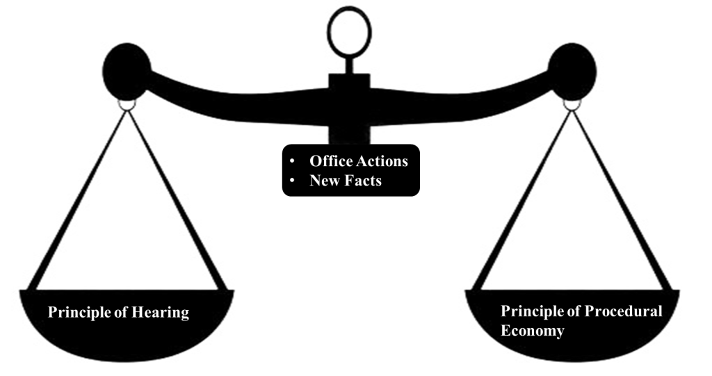 the principle of hearing
the principle of procedural economy
patents in China
CN Patents